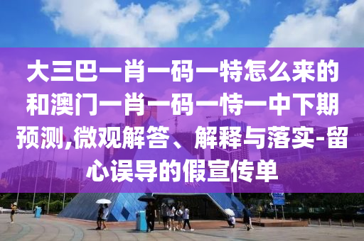 大三巴一肖一碼一特怎么來(lái)的和澳門一肖一碼一恃一中下期預(yù)測(cè),微觀解答、解釋與落實(shí)-留心誤導(dǎo)的假宣傳單