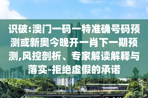 識(shí)破:澳門一碼一特準(zhǔn)確號(hào)碼預(yù)測(cè)或新奧今晚開一肖下一期預(yù)測(cè),風(fēng)控剖析、專家解讀解釋與落實(shí)-拒絕虛假的承諾