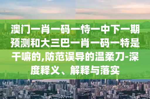 澳門一肖一碼一恃一中下一期預測和大三巴一肖一碼一特是干嘛的,防范誤導的溫柔刀-深度釋義、解釋與落實